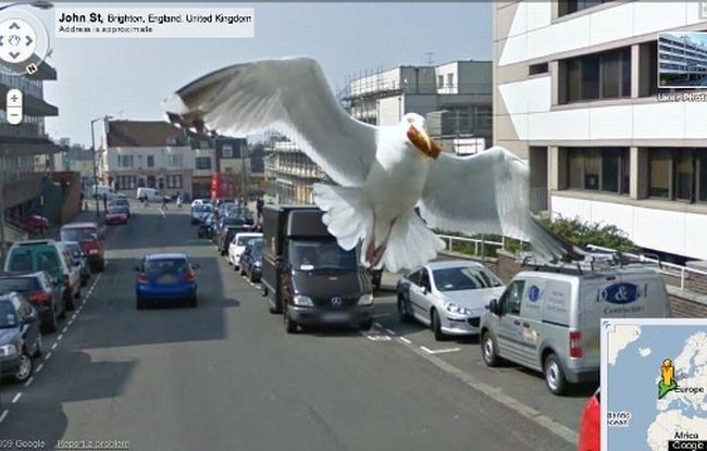 Приколы на Google Street View