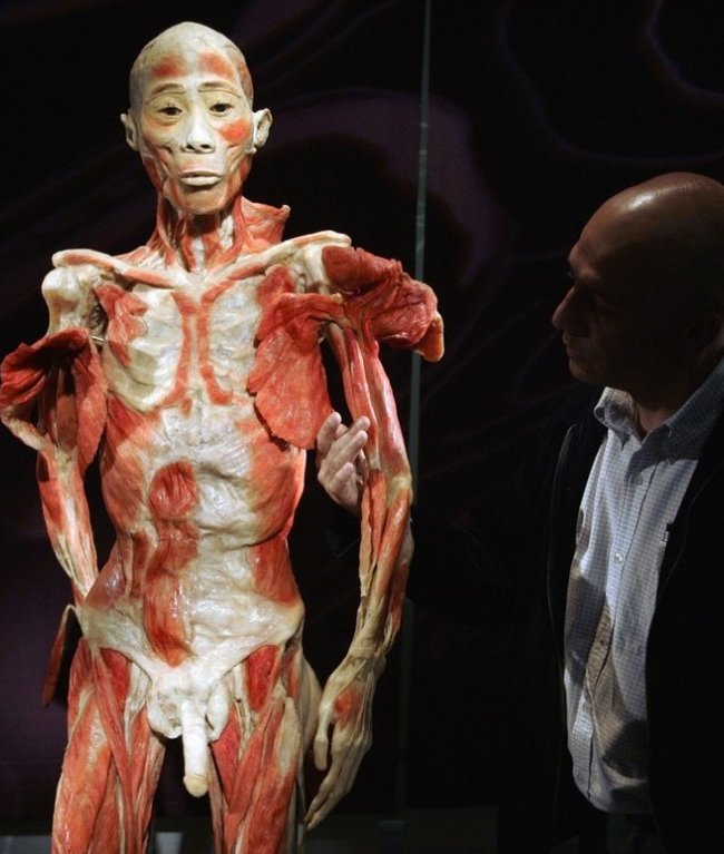 Выставка «Миры тела» – искусство или глумление? (16 фото)