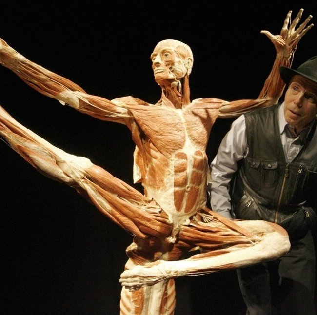 Выставка «Миры тела» – искусство или глумление? (16 фото)