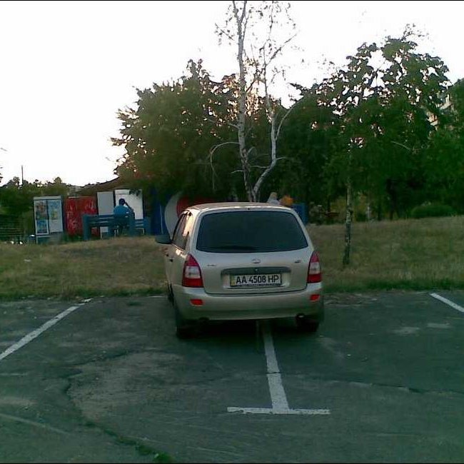 Мастера парковки (15 фото)