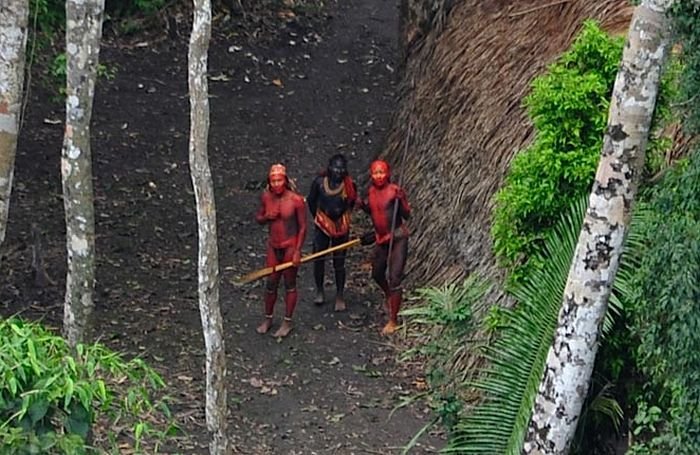 В бразильских джунглях обнаружили неизвестное племя индейцев (6 фото)