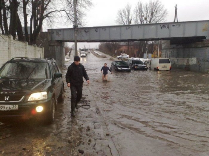 Потоп в Калининграде (24 фото)