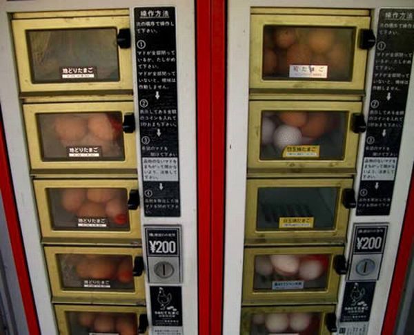 Самые странные вещи, продающиеся в торговых автоматах (22 фото)