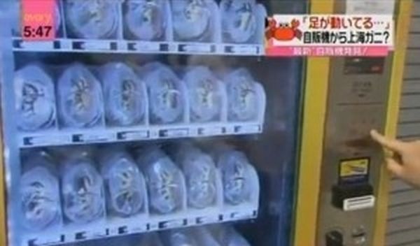 Самые странные вещи, продающиеся в торговых автоматах (22 фото)