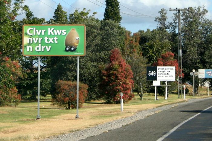 Новая Зеландия: Киви (19 фото)