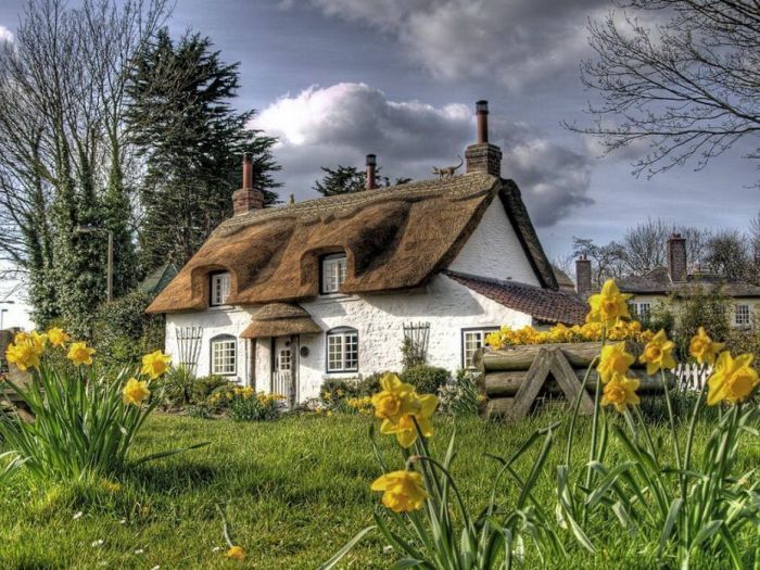Домики в провинции Англии (55 фото)