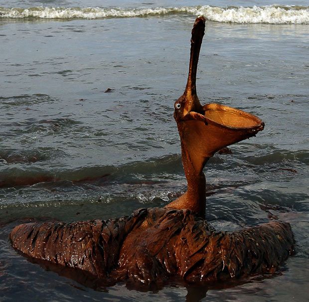 Взрыв нефтяной платформы в Мексиканском заливе году назад (31 фото)