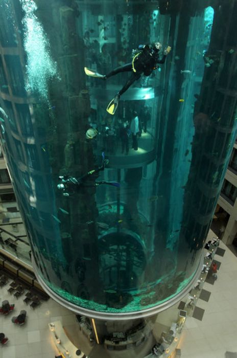 Невероятный аквариум AquaDom в Берлине (11 фото)