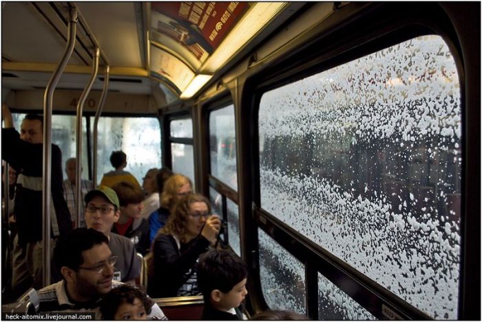 День Открытых Дверей в канадском трамвайном депо (26 фото)