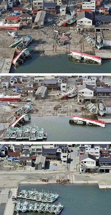 Япония спустя шесть месяцев (16 фото)