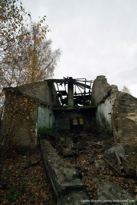 Умирающий военный город Рычково (42 фото)