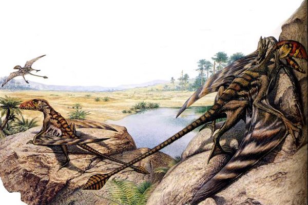 Самые необычные доисторические животные (10 фото)