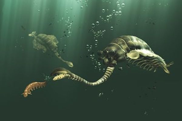 Самые необычные доисторические животные (10 фото)
