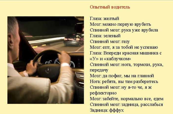 Классификация водителей (8 картинок)