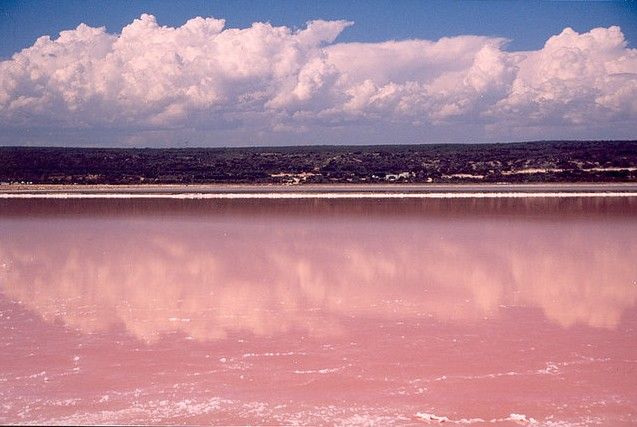 Таинственное розовое озеро в Австралии (9 фото)