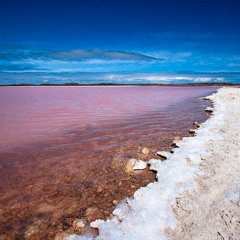 Таинственное розовое озеро в Австралии (9 фото)