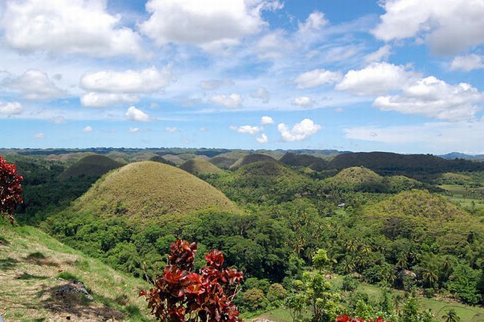 Шоколадные холмы на Филиппинах (16 фото)