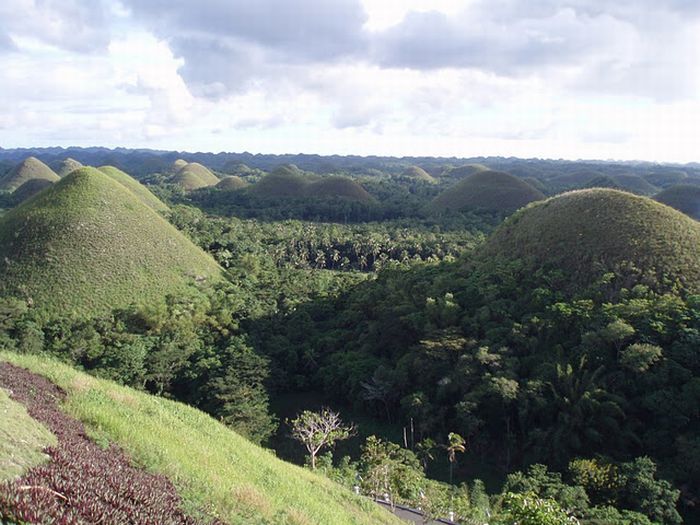 Шоколадные холмы на Филиппинах (16 фото)