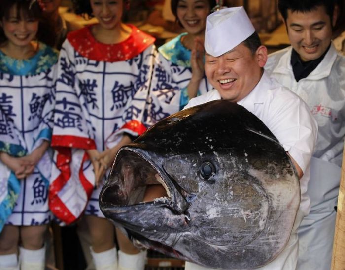 В Японии продан самый дорогой тунец в истории