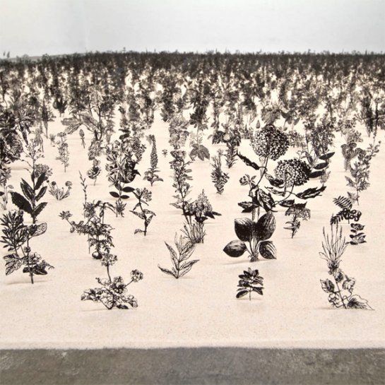 Инсталляция из 20 000 растений из стали от Zadok Ben David (7 фото)