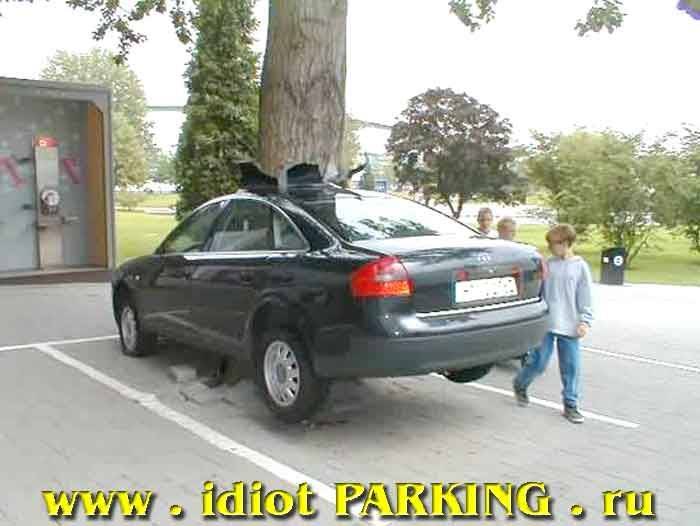 Мастера парковки (86 фото)