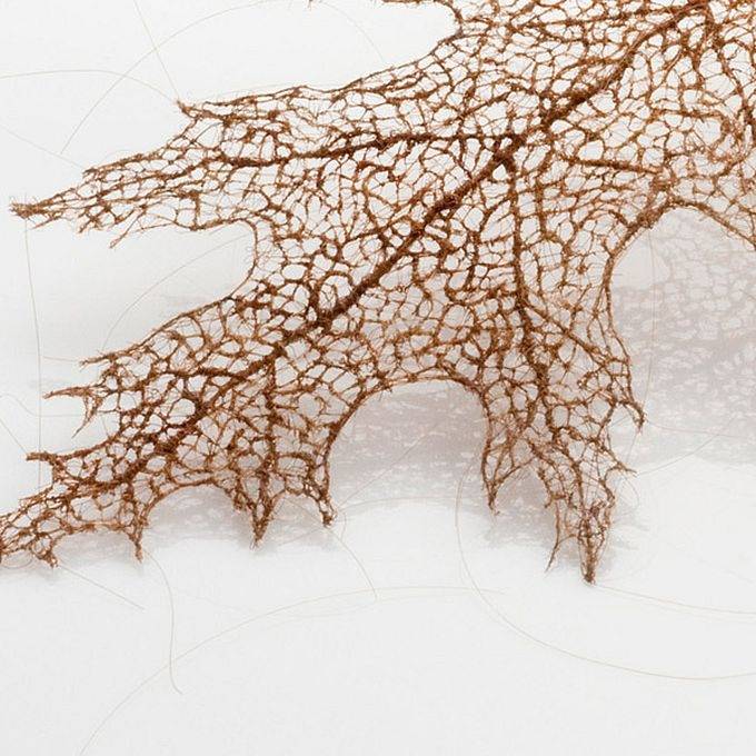Удивительные листья из человеческих волос (6 фото)