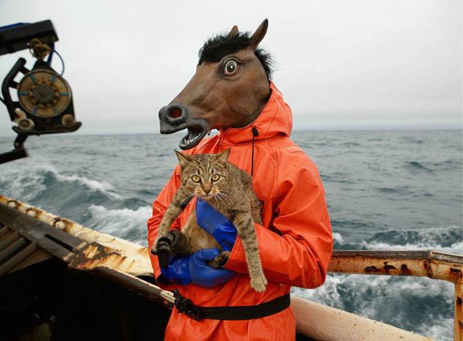 Как добывают крабов и рыбу в Беринговом море (37 фото)