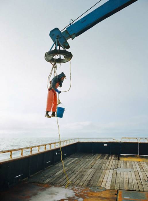 Как добывают крабов и рыбу в Беринговом море (37 фото)