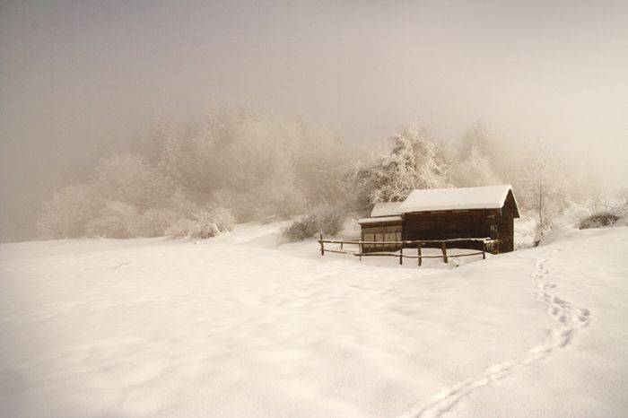Очень красивые зимние фотографии (31 фото)