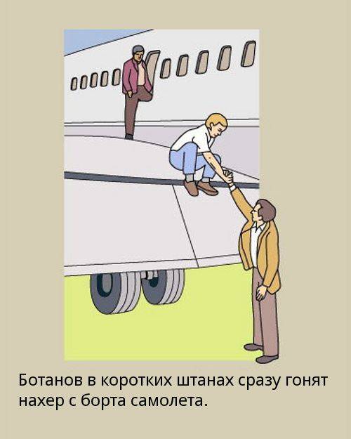 Правила поведения в самолете (18 картинок)