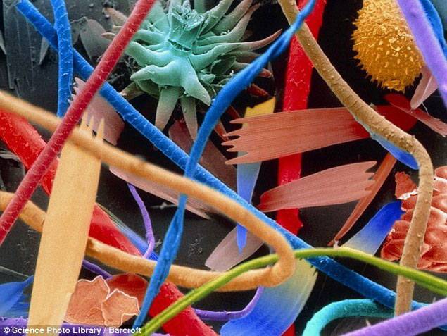 Красота под микроскопом (30 фото)