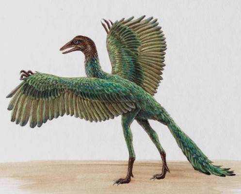 10 странных доисторических животных (10 картинок)