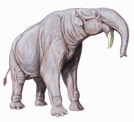 10 странных доисторических животных (10 картинок)