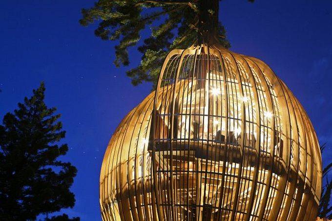 Ресторан на дереве в Новой-Зеландии (14 фото)