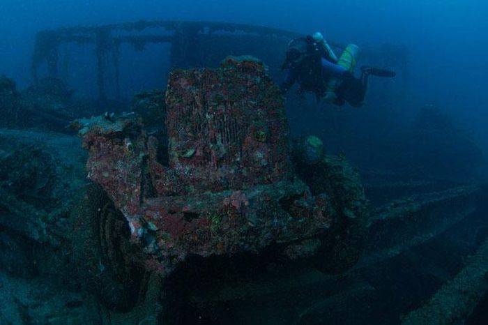 Подводный мир (38 фото)