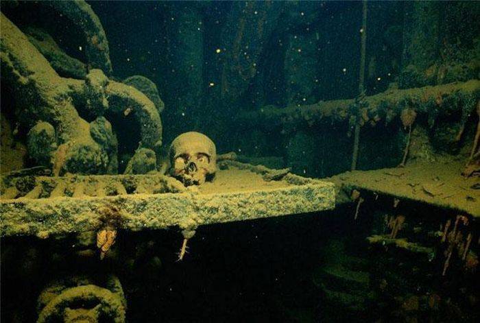 Подводный мир (38 фото)