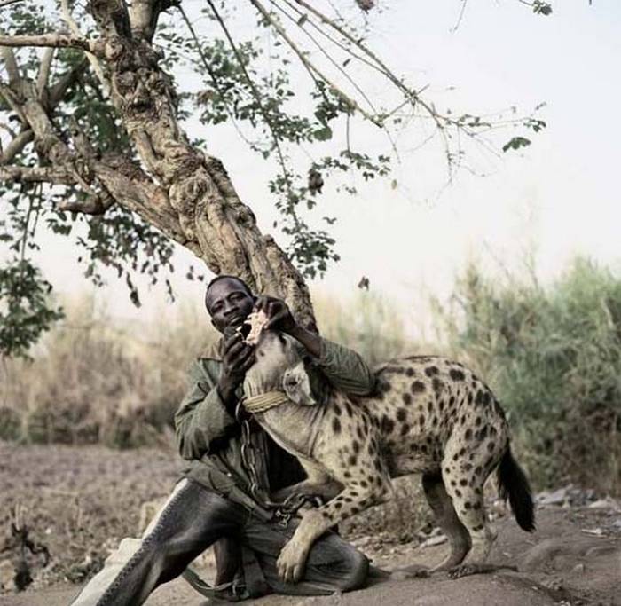 Африканские хозяева диких животных (12 фото)