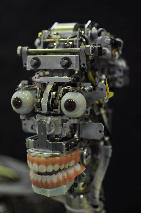 Певица-робот (15 фото)
