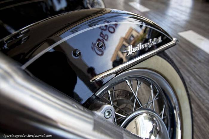 Мотоцикл Harley-Davidson крупным планом (28 фото)