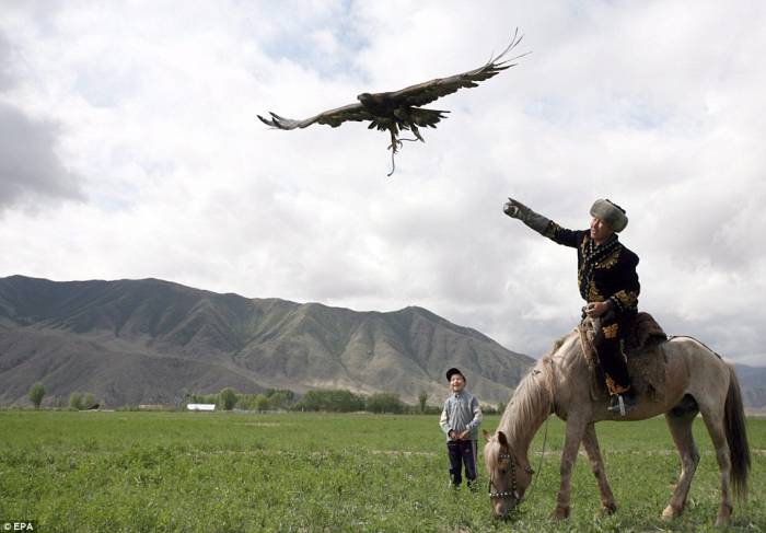 Орлиная охота в Кыргызстане (5 фото)
