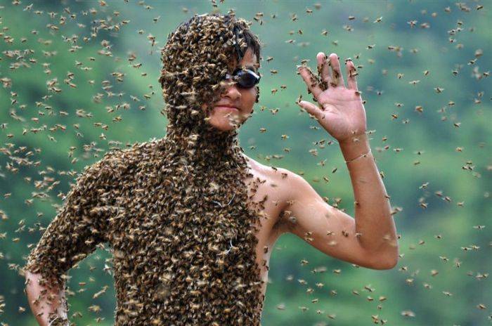 Китаец удержал на своем теле 26 килограммов пчел (6 фото)