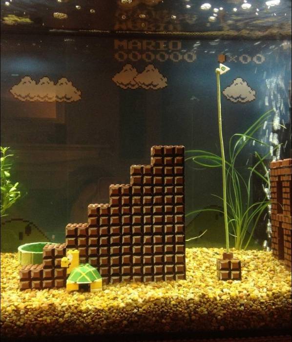 Супер Марио в аквариуме (7 фото)