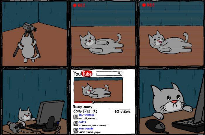 Прикольный комикс про кота (3 фото)