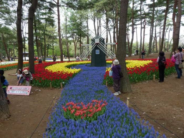 Рассветная страна цветов «Hitachi Seaside Park»