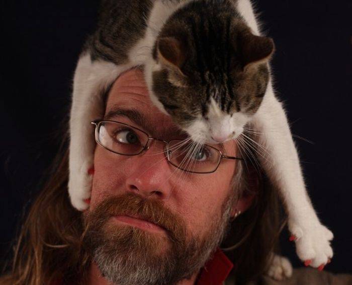 Коты на человеческих головах (40 фото)