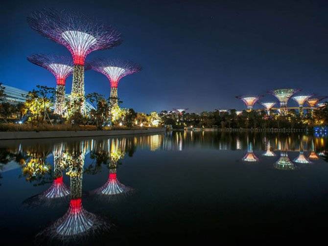Супер-деревья в Сингапуре (13 фото)