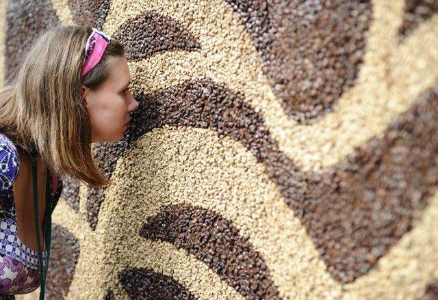 В России создали самую большую в мире картину из кофе (13 фото) 