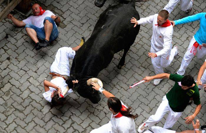 Испанский фестиваль Сан Фермин бега быков 2012 (39 фото)