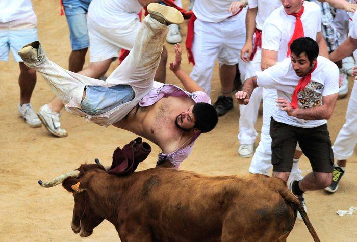 Испанский фестиваль Сан Фермин бега быков 2012 (39 фото)