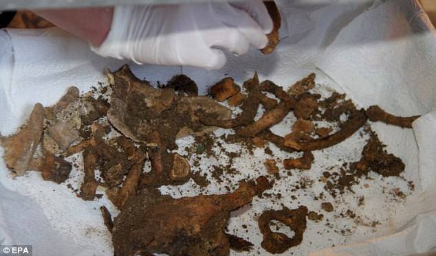 Археологи нашли скелет Моны Лизы (7 фото)